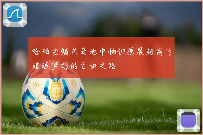 哈珀金鳞岂是池中物但愿展翅高飞追逐梦想的自由之路