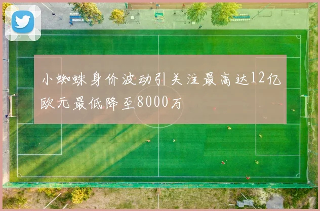 小蜘蛛身价波动引关注最高达12亿欧元最低降至8000万